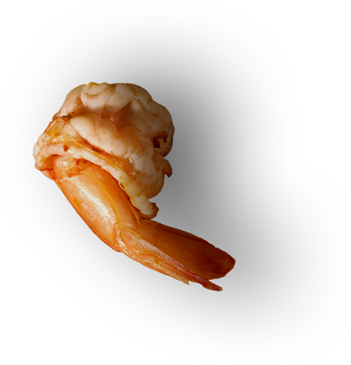 gamba