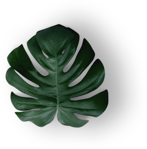 leaf